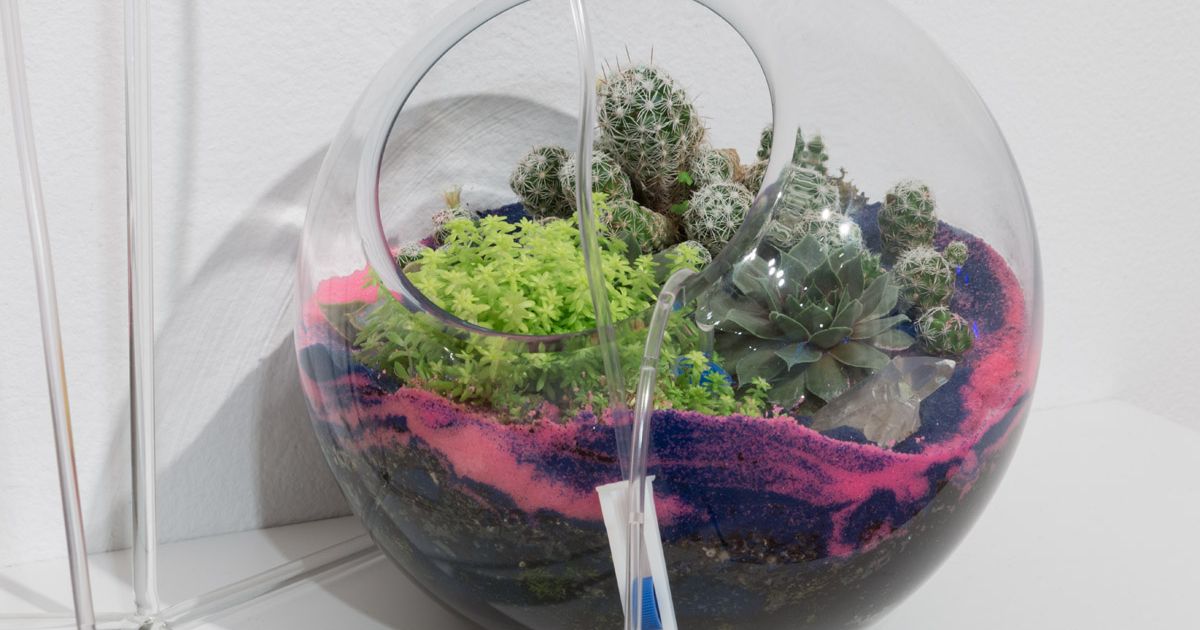 From The Laboratory to the Studio: Interdisciplinary Practices in Bio ...