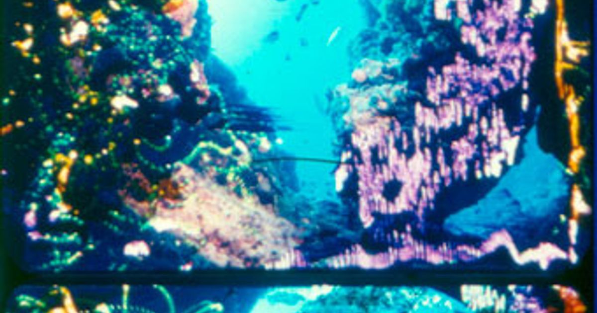 Celluloid. Cameraless Film - Announcements - e-flux