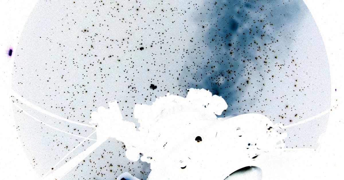 Jeronimo Voss: Inverted Night Sky - Announcements - e-flux