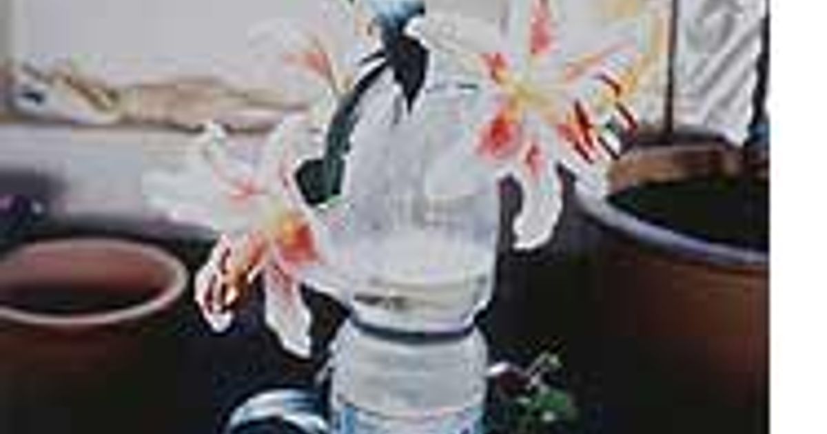 Wolfgang Tillmans: View from above - Announcements - e-flux