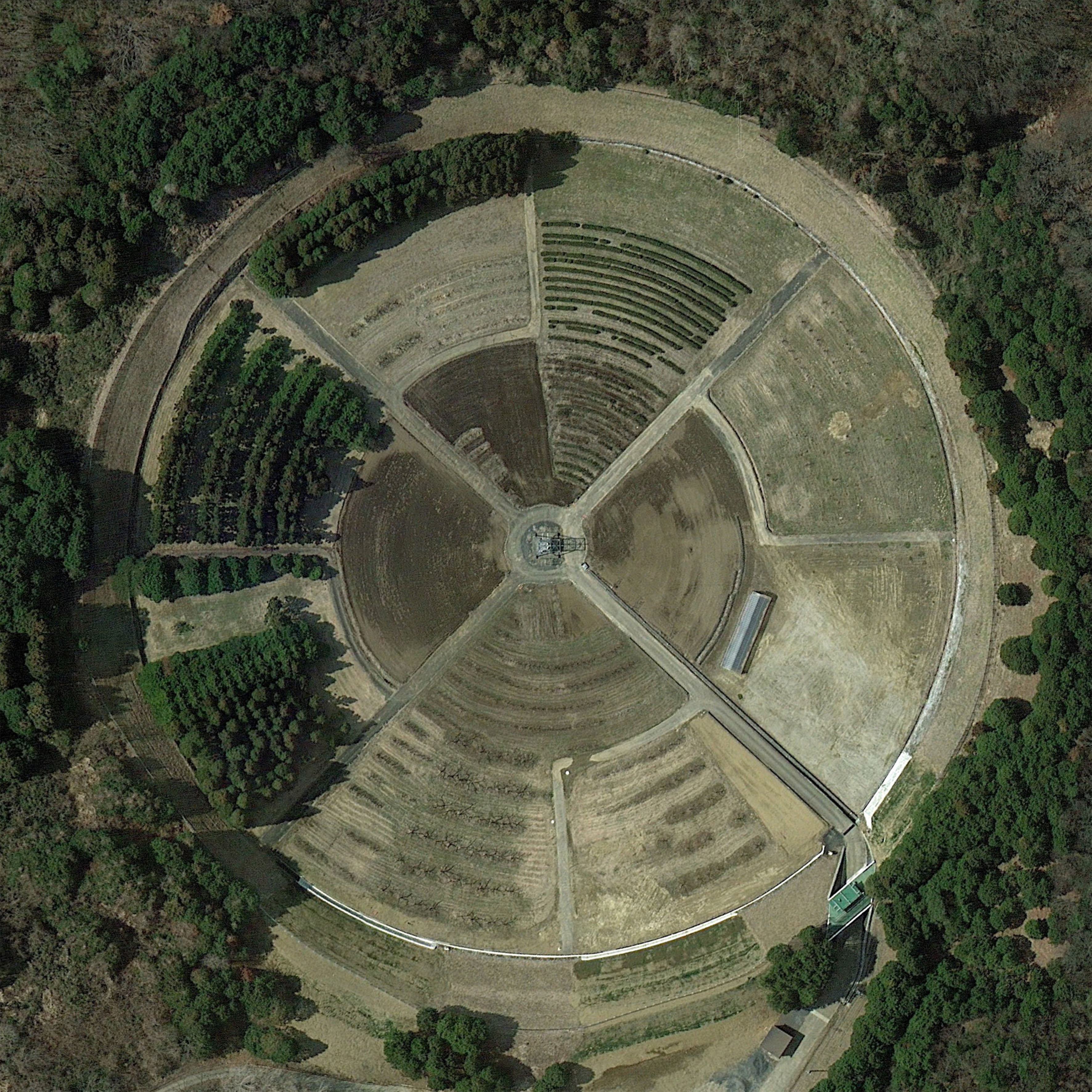 Gamma field in Ibaraki, Japan. Photo: Google Earth.