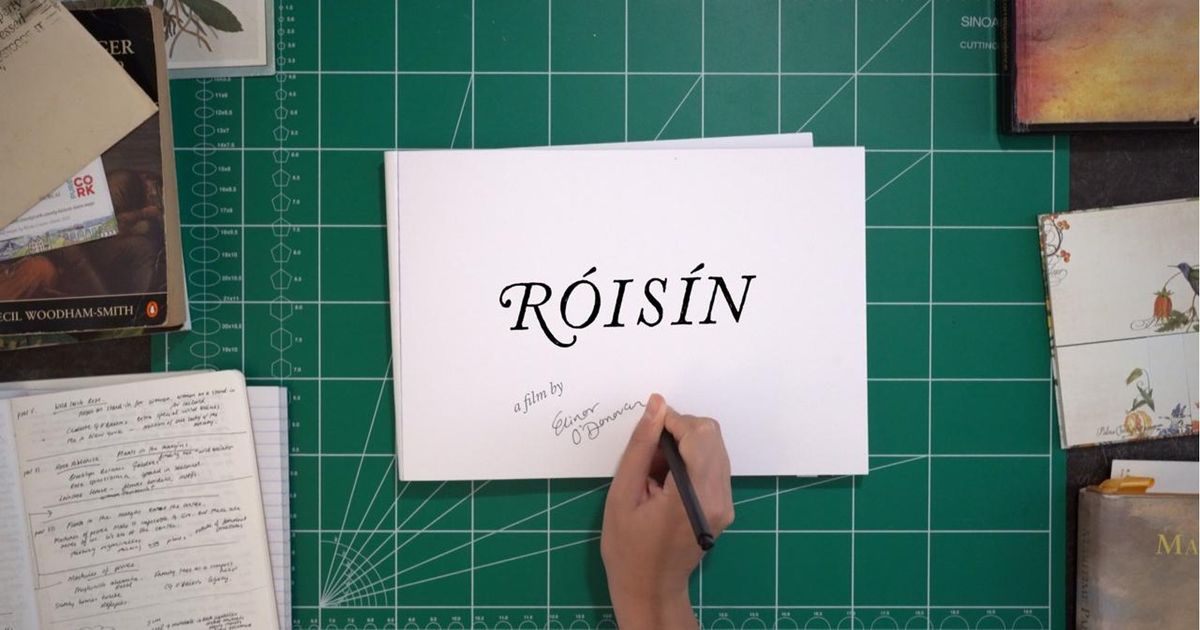 Image accompanying source report: Elinor O'Donovan's 'Róisín' Traces an Irish Emigration Story in Cork