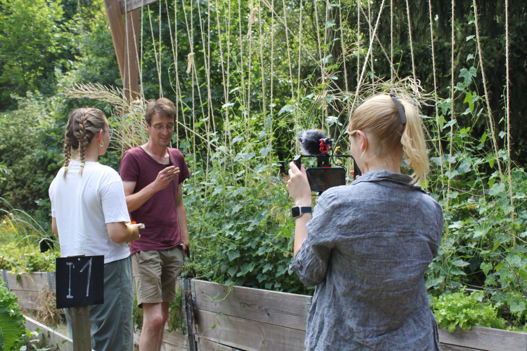 Open registration for summer courses - Announcements - e-flux