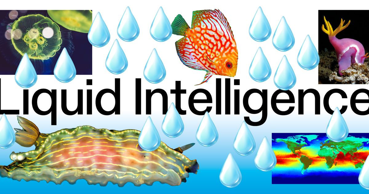 Liquid Intelligence - Announcements - e-flux