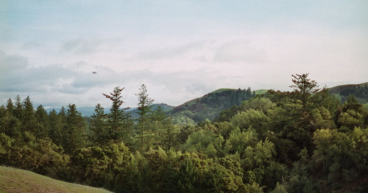 Society of the Psyop, Part 1: UFOs and the Future of Media - Journal 147