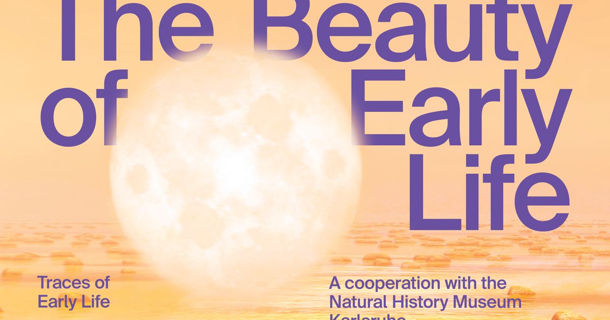 The Beauty of Early Life. Traces of Early Life - Announcements - e-flux