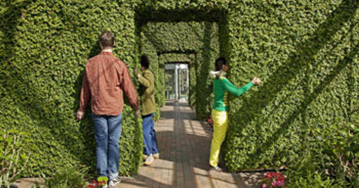 Open Field Artists-in-Residence presented - Announcements - e-flux
