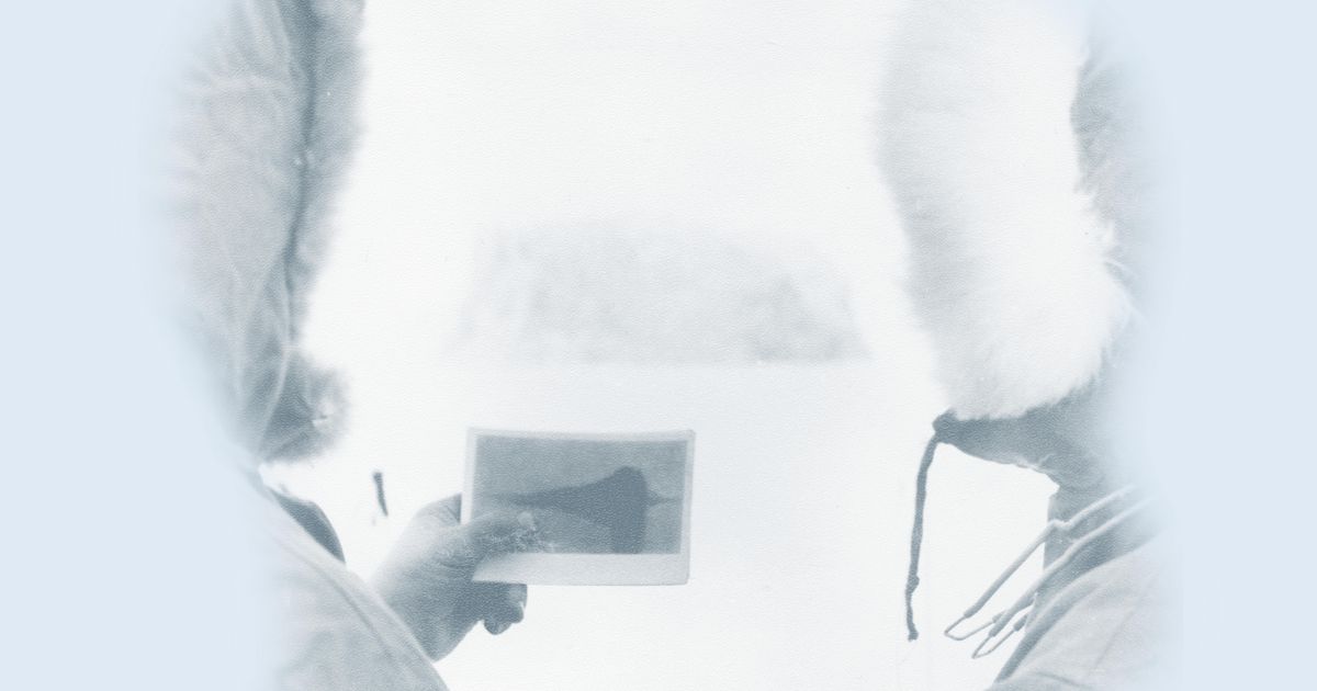 Shadows Leave Traces – Announcements – e-flux