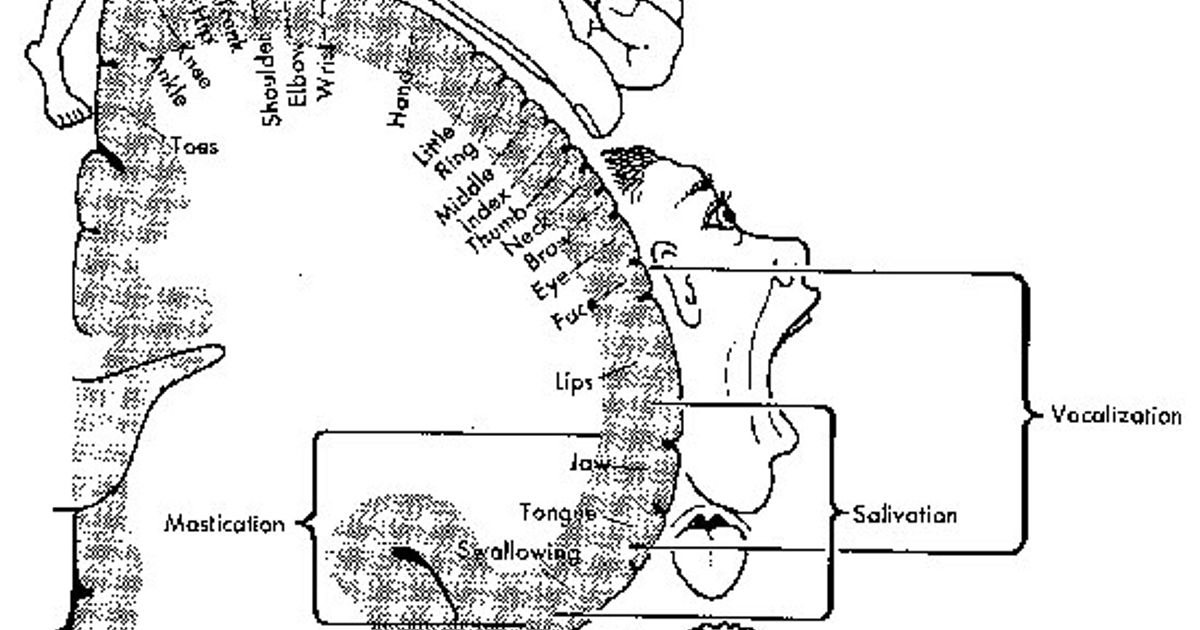 Abnormal Encephalization in the Age of Machine Learning - Journal #75