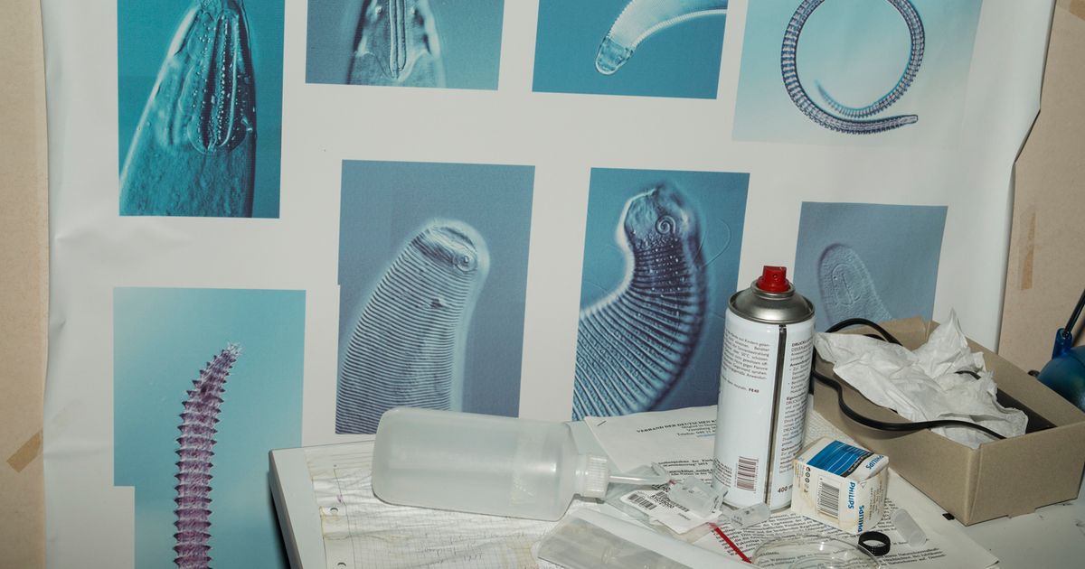 Armin Linke: OCEANS - Dialogues between ocean floor and water column - Announcements - e-flux