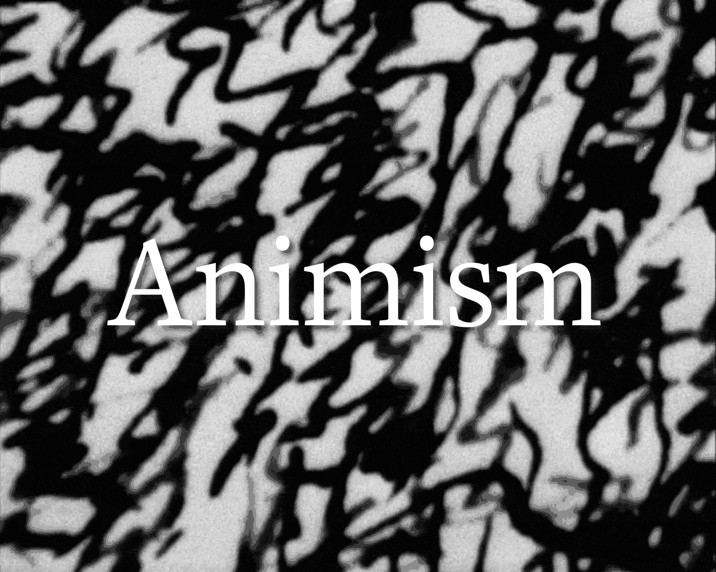 <p>Animation from&nbsp;Joachim Koester,&nbsp;<em>My Frontier is an Endless Wall of Points</em>, 2007. Courtesy of Jan Mot.&nbsp;Design: Other Means.</p>
