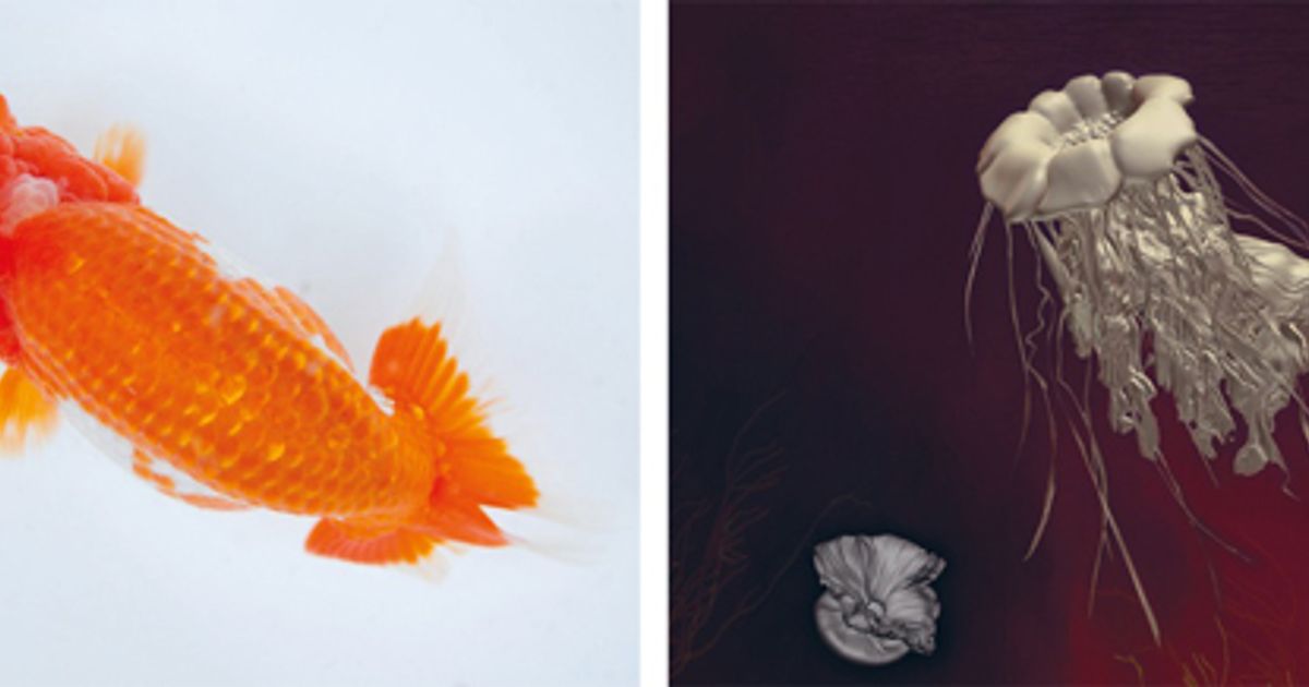 Transformism - Announcements - e-flux