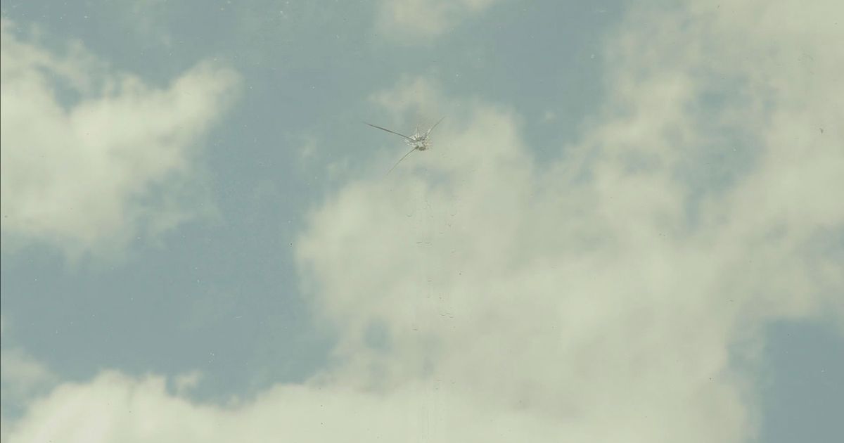 MFA Thesis Exhibition - Announcements - e-flux