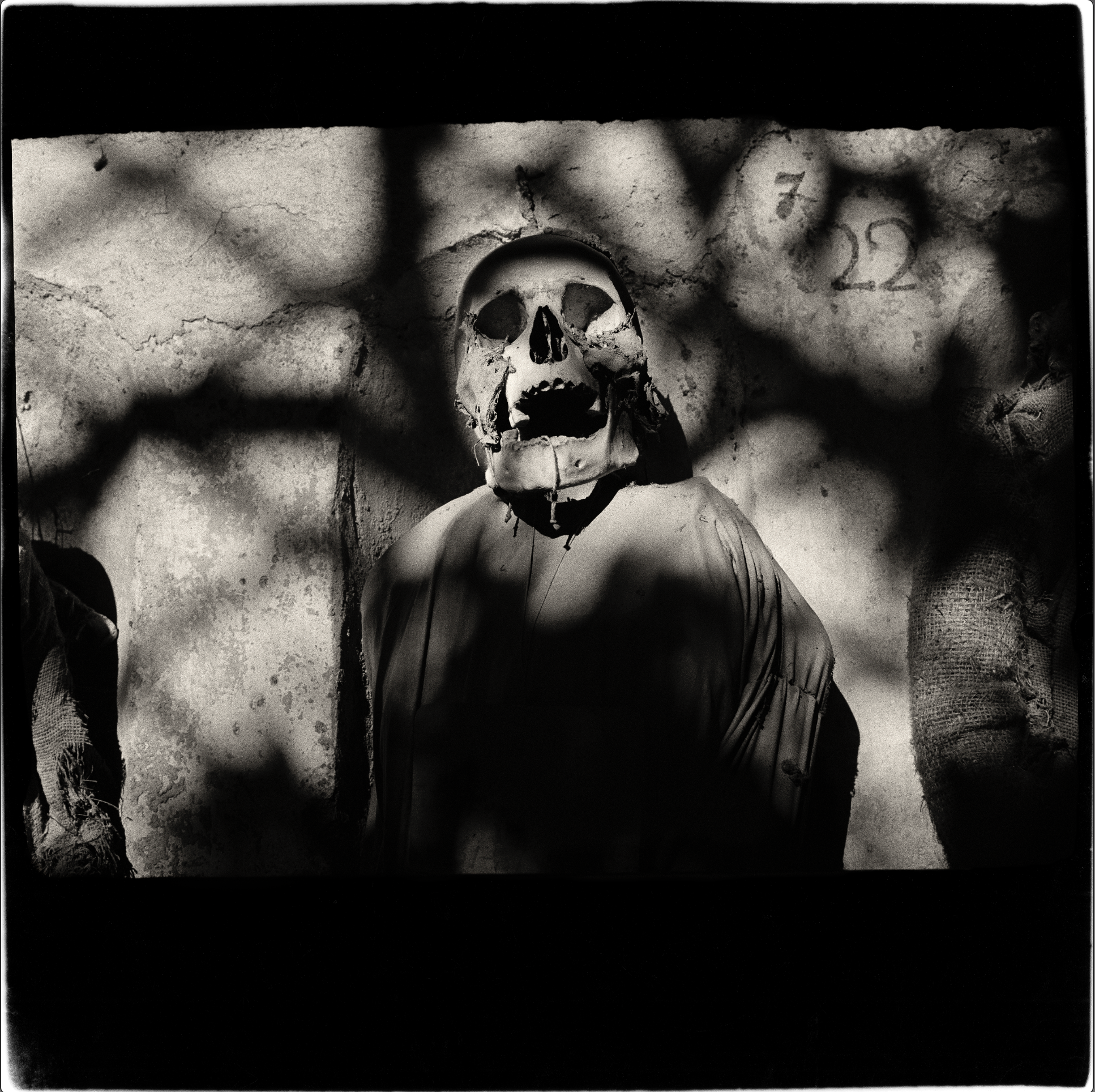 【Portraits In Life And Death】Peter Hujar Portraits in Life and Death : Hujar, Peter, Moser, Benjamin