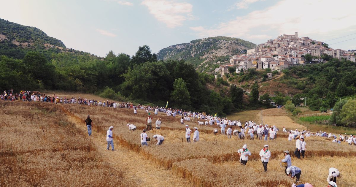 Artificial Labor - Julia Powles - Italy’s New Rural