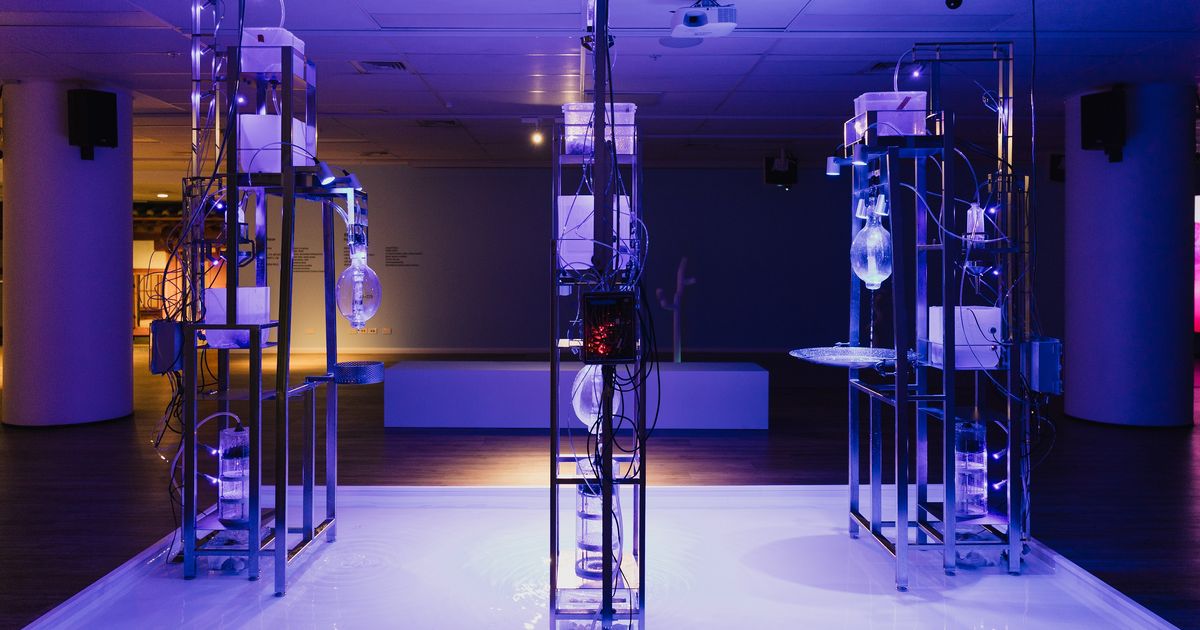 Aqua Paradiso Art Exhibition Tours India and Australia in 2026